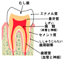 C1